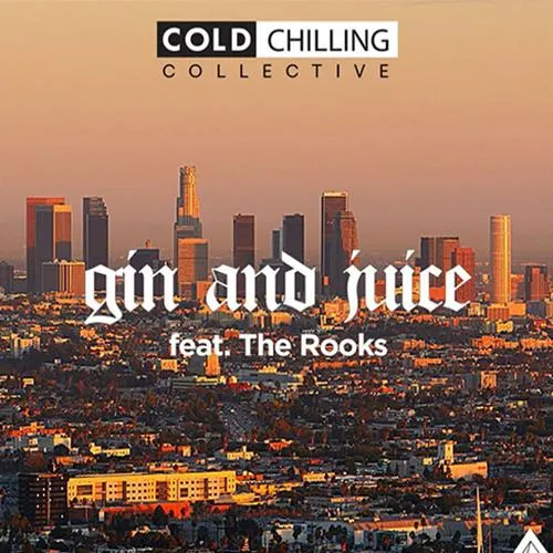 The Rooks - Jin and Juice